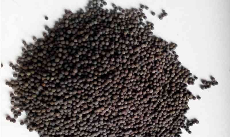 http://www.shzhonghao.com